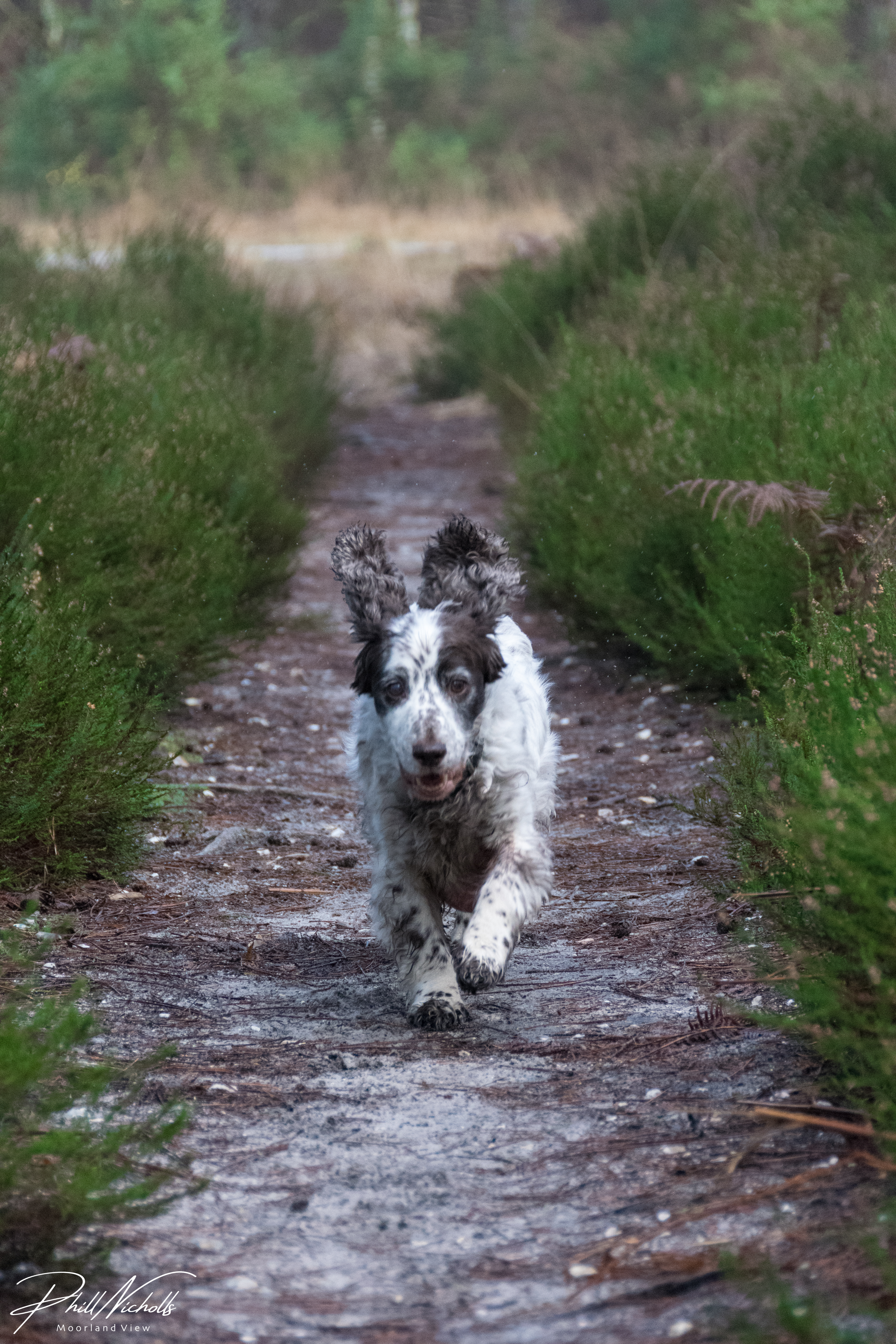 150D870F-BEBB-43A2-8AA2-63D622744889