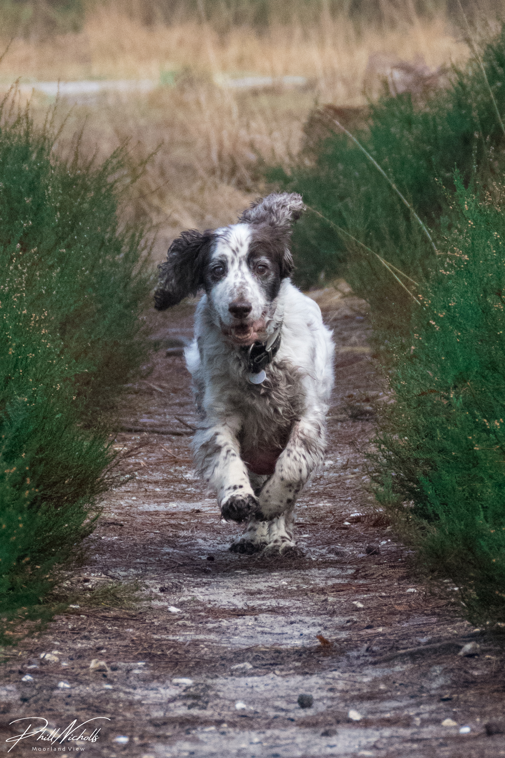 2E6E08E9-FE33-4C49-A75D-2EB0549E6D19