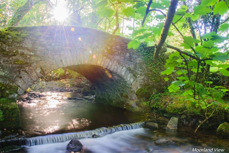 2F74FCE9-27C9-4042-BDFA-F1FE4D532BFF