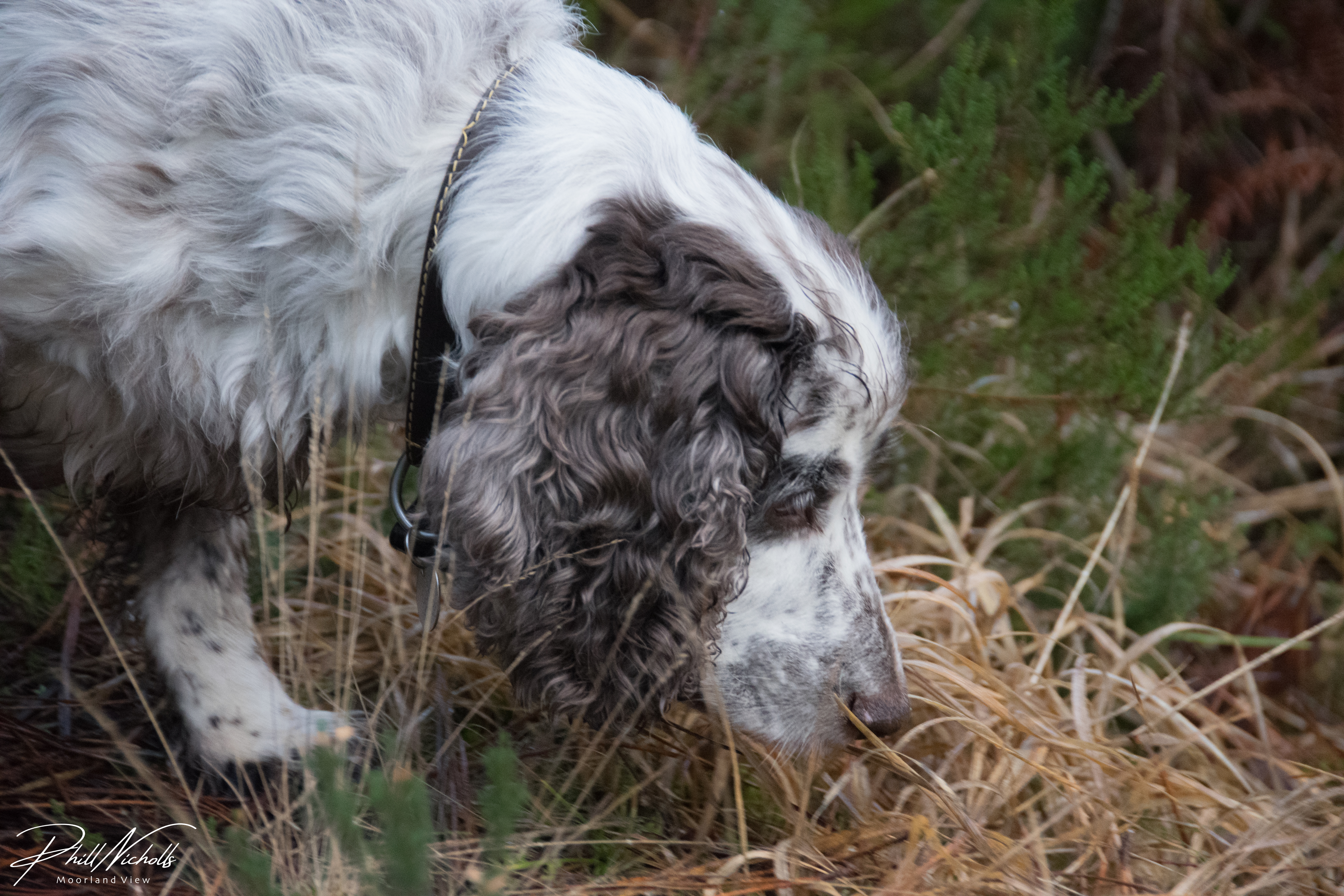 3898D2CD-233C-41DE-A8F9-C0A97C8C2FAA