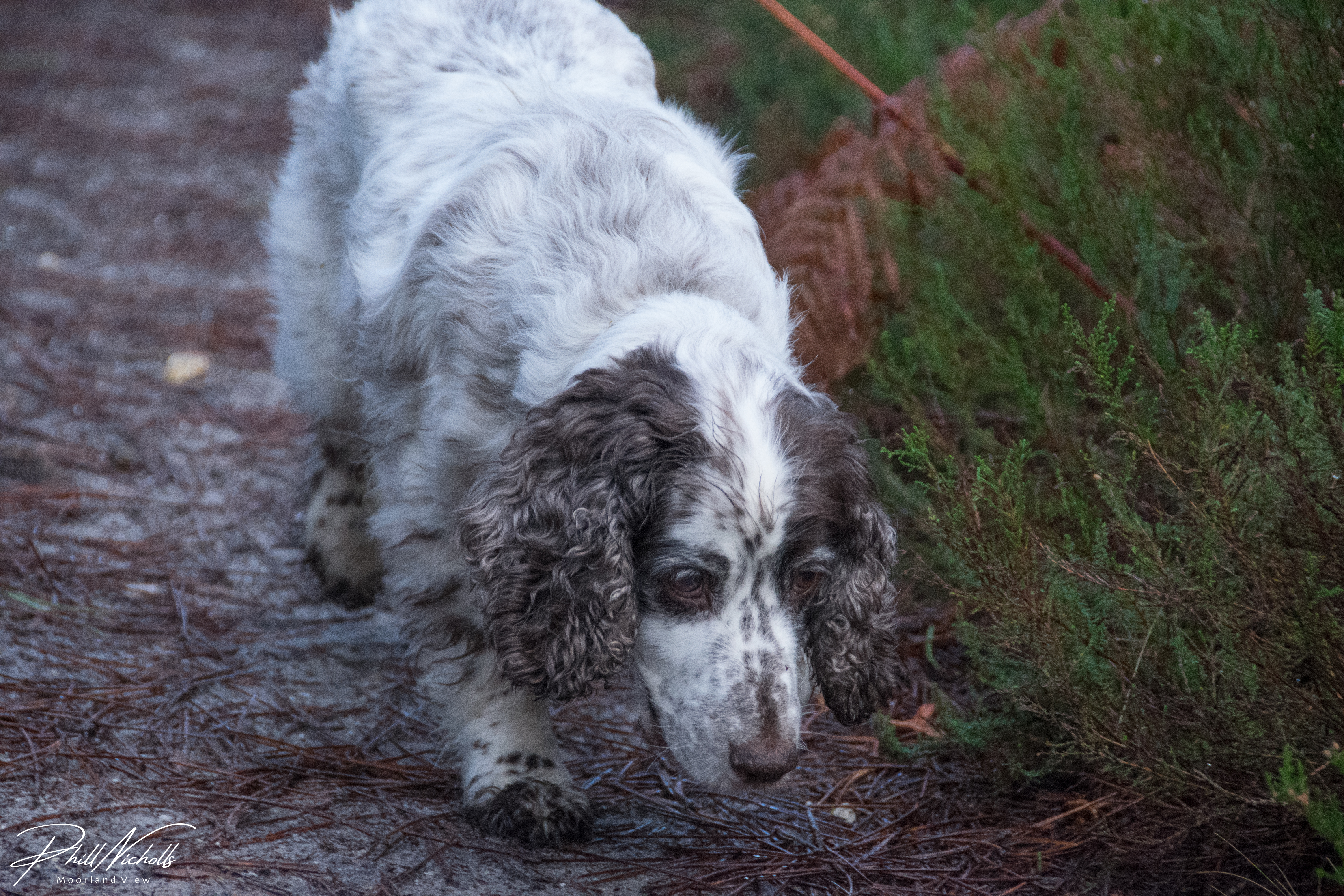 4161BC35-5867-4D0A-AA48-5A6541472EBA