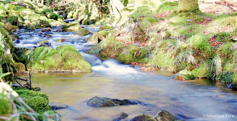 DSC_0891 Owley River
