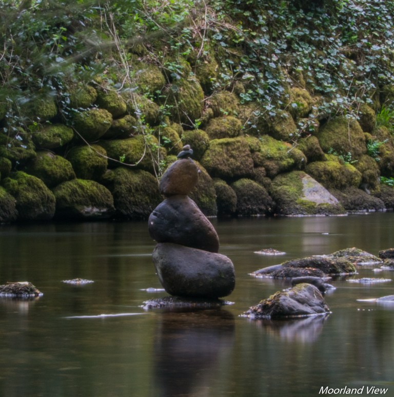 1922CAE4-9ED9-423B-989E-EC553AB5D110