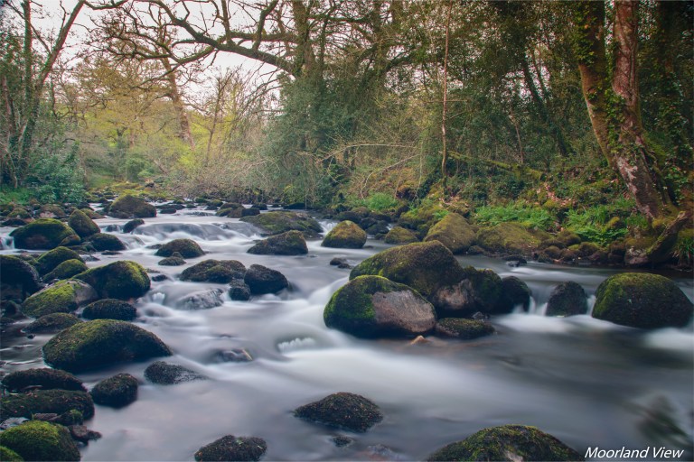 20A3BD61-B8EF-458F-8730-98B028C517CF