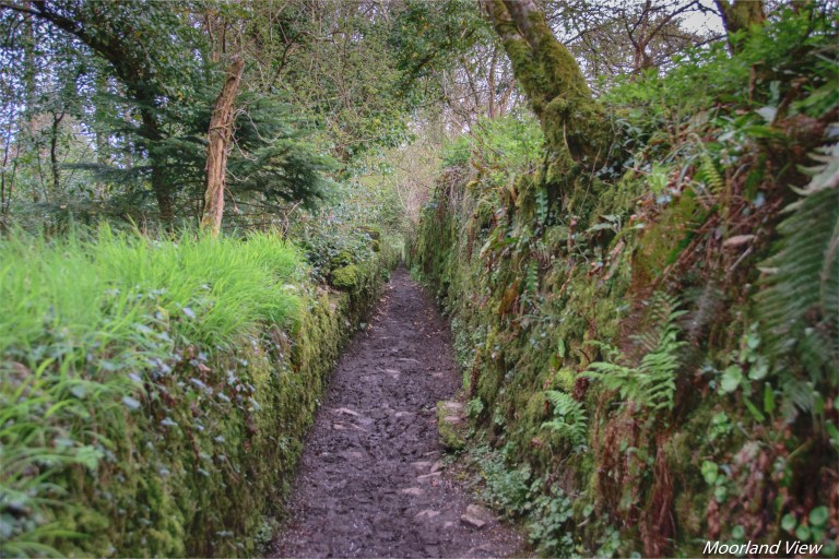 34BAF285-730B-4326-923D-68D55F9D8248