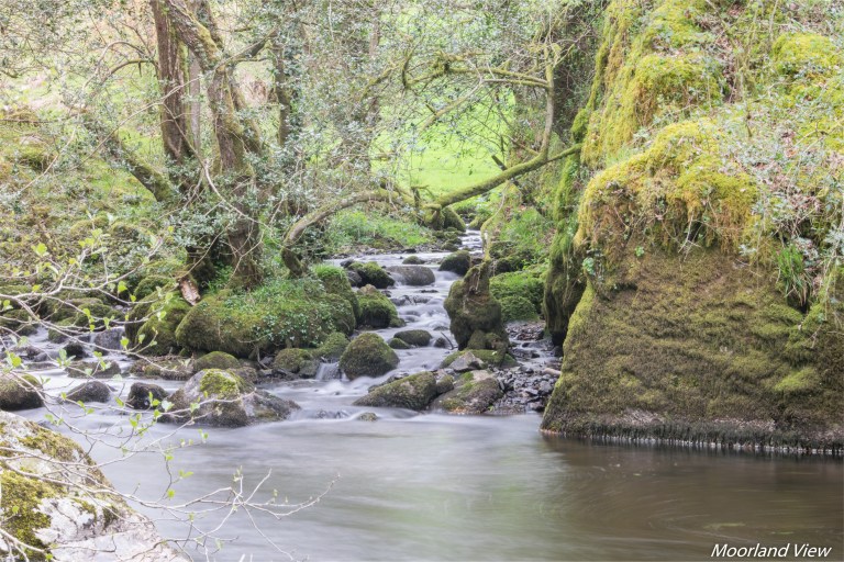 75799415-92BC-423E-BBAA-3E64F43010C1