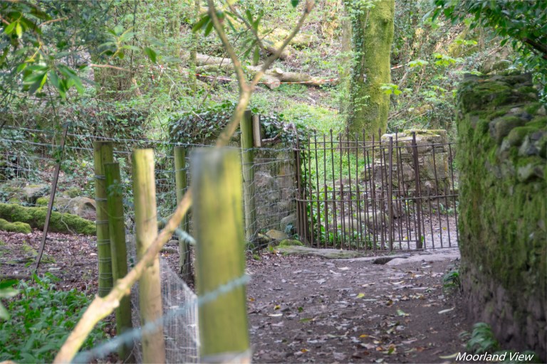 8359354A-C2C7-44AC-BCD6-DA0AA59812AF