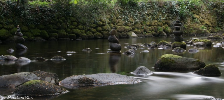 A96FB28D-08FE-4A11-9360-F2779C251C05