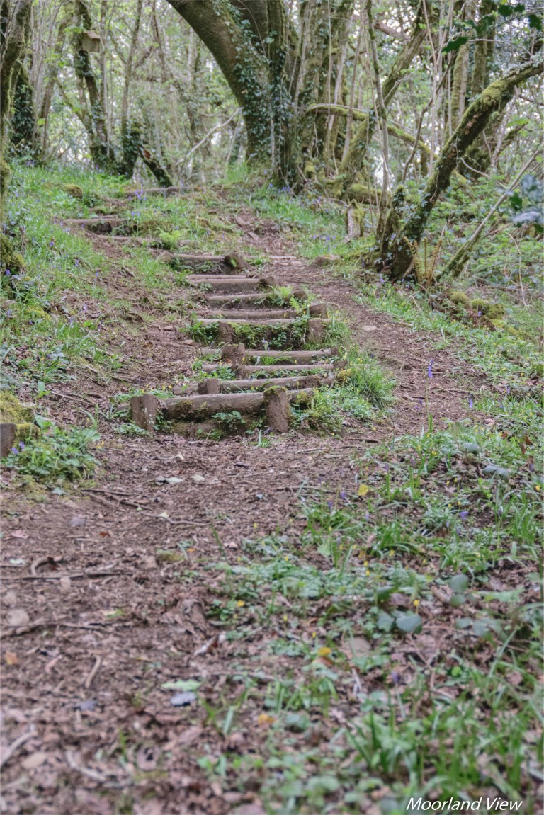 CF395278-F5AA-4A4A-B02B-FEE731A115E1