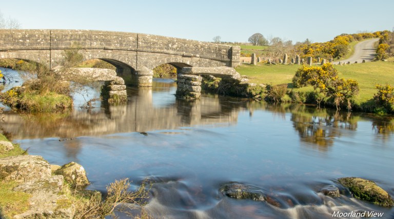 D3E9E48D-2127-4EFE-9751-E039781F3295