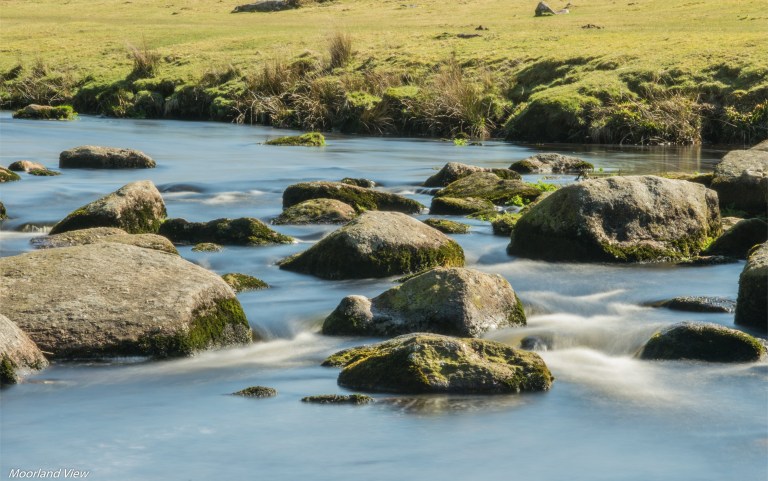 E4D7992D-CBF5-479A-9D0B-A9C8A355F496