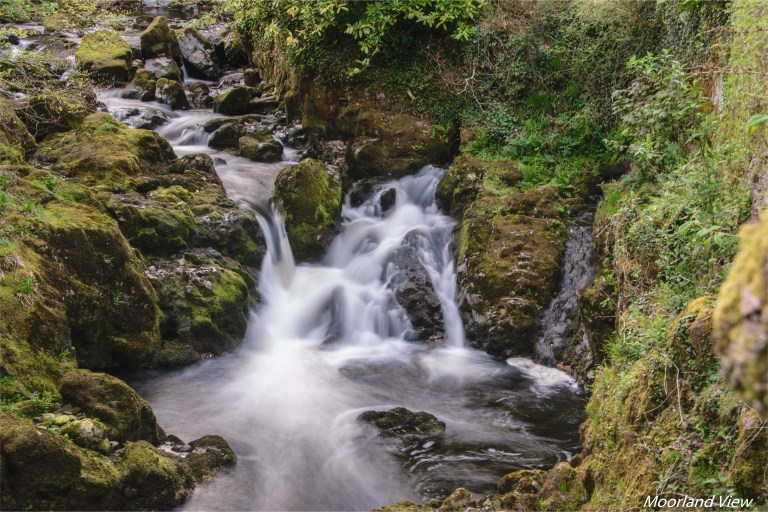 EBE4E84E-B6E0-4F99-945F-1524807DF5F2