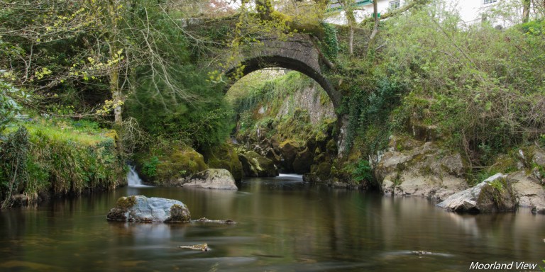 F3083CE7-5608-437F-AECB-DF185B253544