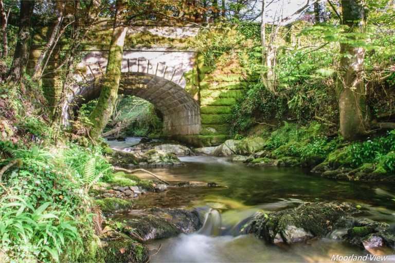 138D3DA3-E016-4DE8-BCD3-1A5BA36F1F5B