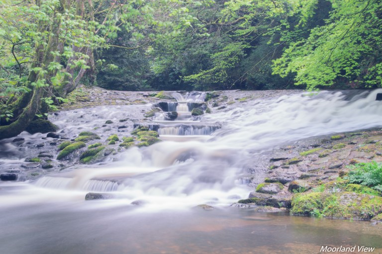 295EC7AD-4F13-4EB0-9D90-A743438C78E5