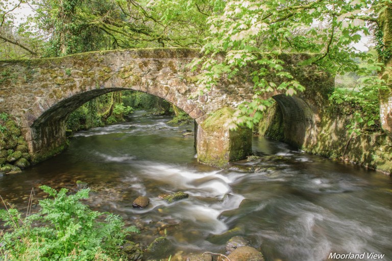 452C9D3A-8CDB-4BCE-9403-CFFB4990A30A