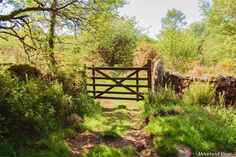 5ABAAFB2-07B1-4FF0-9D56-D4773E3AB9B1