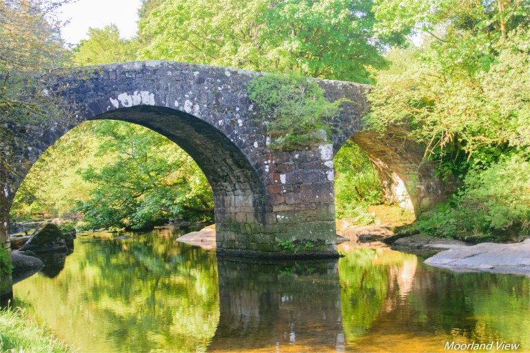 7DCD911B-54E1-4035-A410-9FD3571460DD