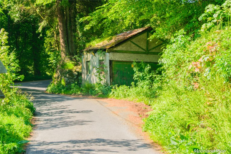 87B0CBC5-CCF2-4C80-A7DF-C2AF12342FAC