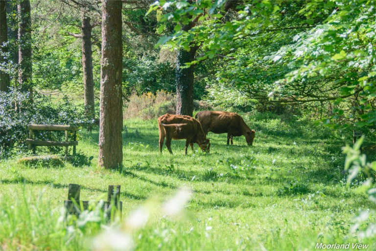 9B15CDD6-7ADB-4383-B7CE-C4055173AA31