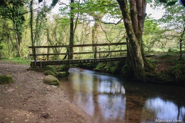 9BF98616-619E-43C5-8D00-DB1C53416590