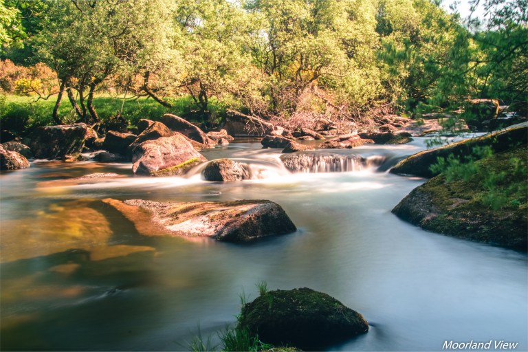 9C8B0E85-A1AC-4849-A840-07C0F0391883