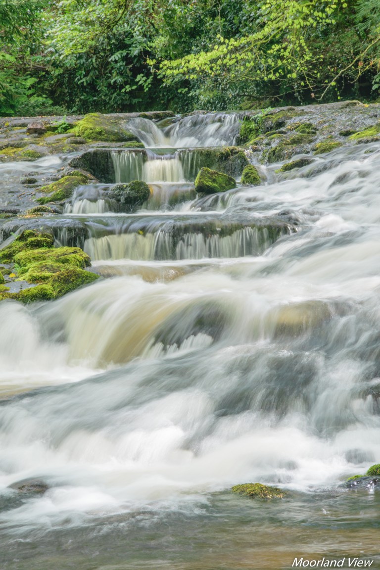 B22A6006-E67D-4E66-A1AC-F7885455BD67