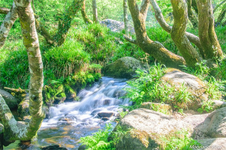 B52D2616-E1BA-43F6-A2F7-89BE986C3852