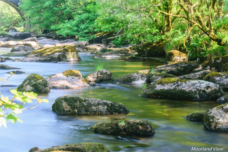 C2B29DBF-2CE9-4238-82AB-604E413D4BCD