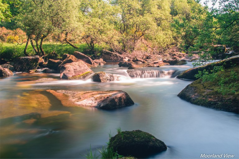 C7AD6D87-A2C3-4E8A-B0C7-EB0F04A3AB8D