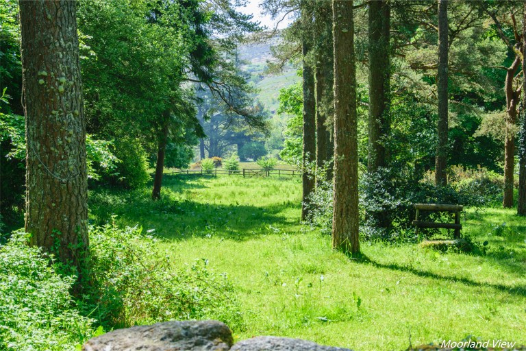 DA3F444D-7267-4F61-B700-129AB851A332