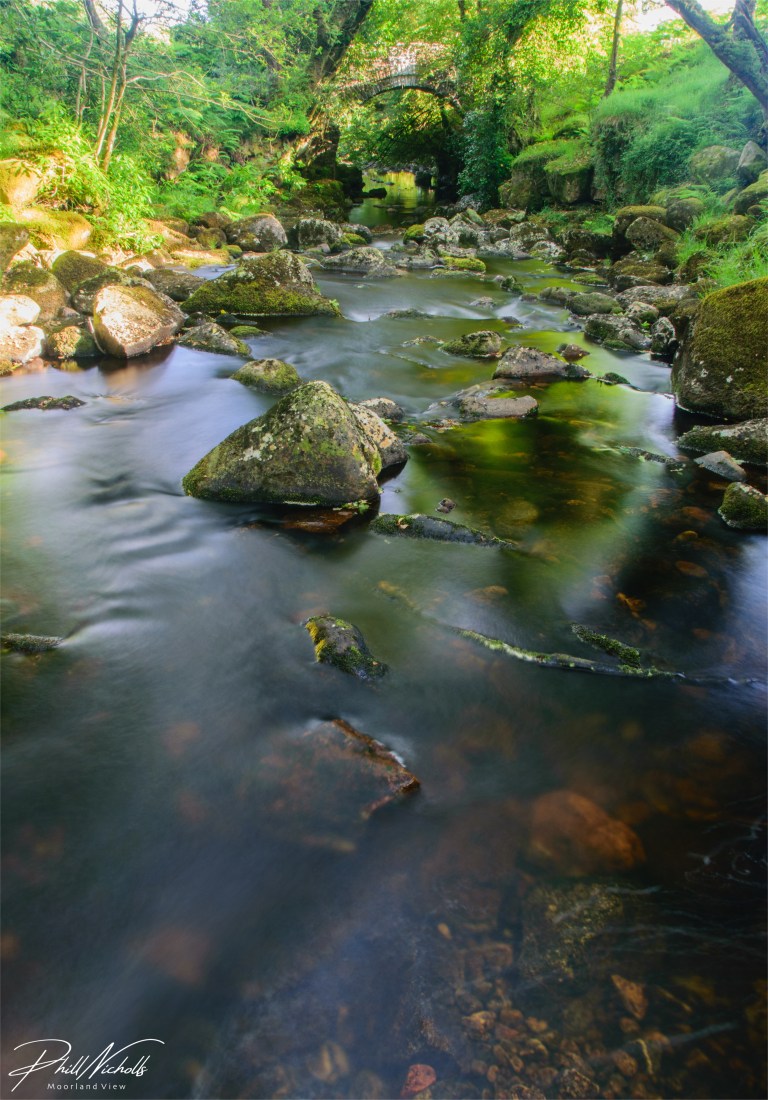 1F481137-0ADB-4926-AEAA-DCEB3C80E372