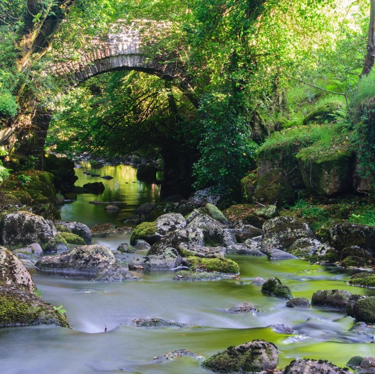 2569A0D0-3471-46C1-B701-713EB34B1A60