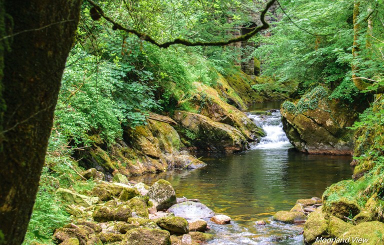 2FEE7C87-2CA4-45AF-90B2-44A78F4E3527