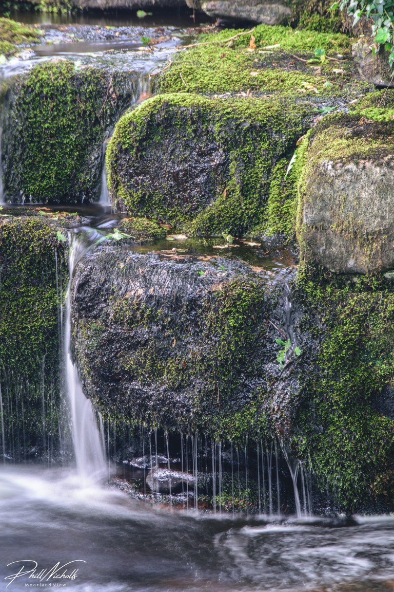 DE768895-D0D9-495B-9971-33BF477C92EE