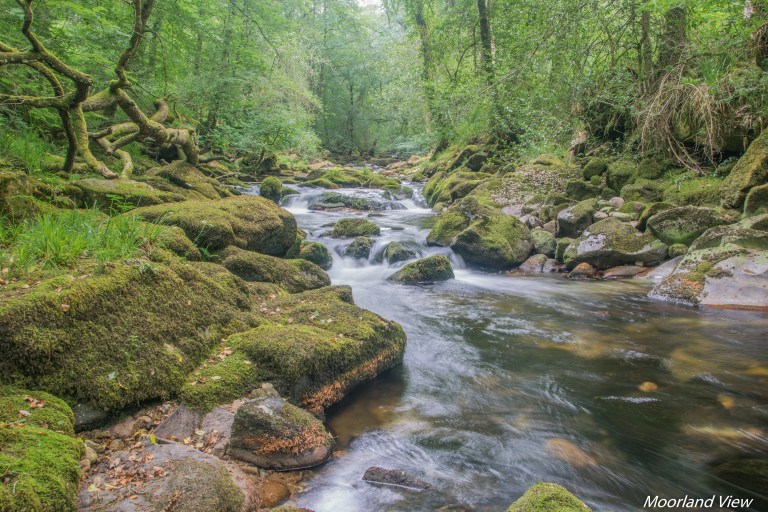 erme river 1 (1 of 1)