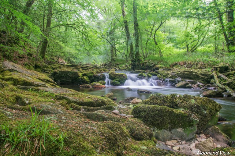 erme river 2 (1 of 1)