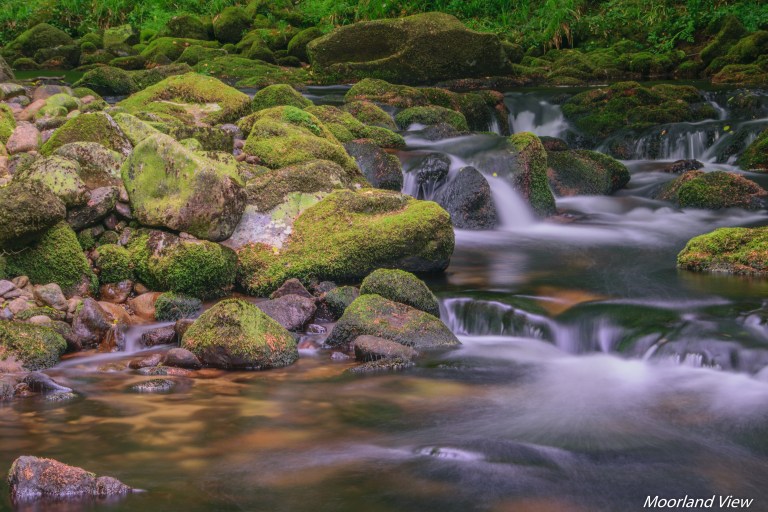 erme river 5 (1 of 1)