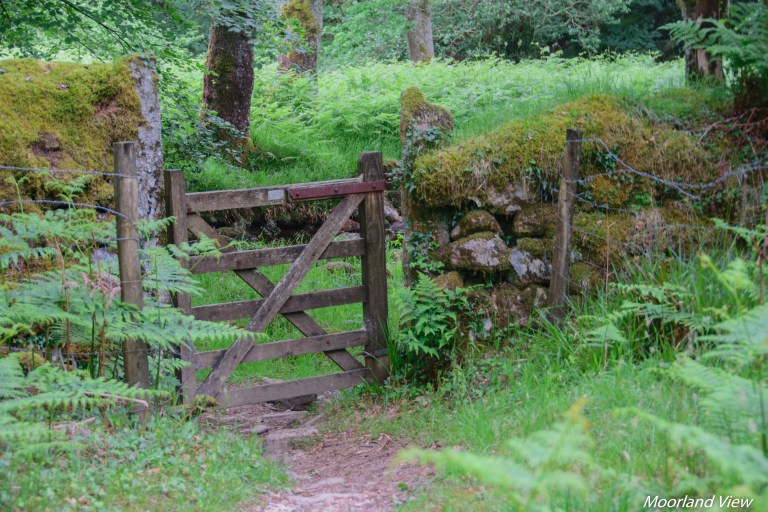 erme river 7 (1 of 1)