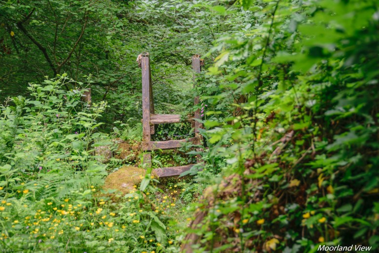 erme river 8 (1 of 1)