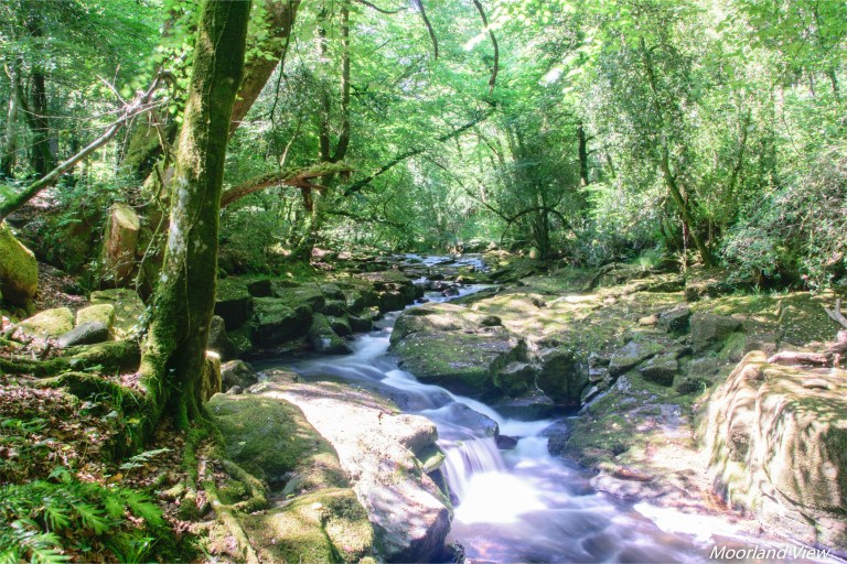 F983D807-195E-455B-8309-F7EA1234AEBD