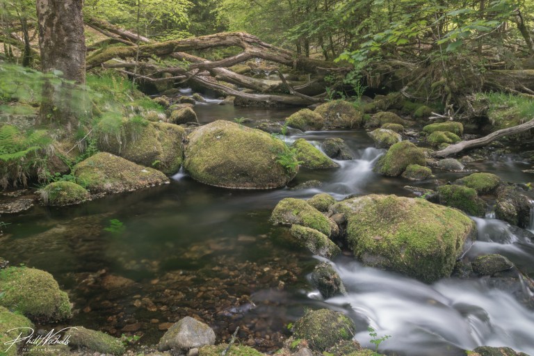 River Meavy 1