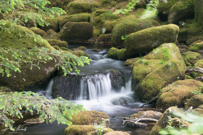 River Meavy 2