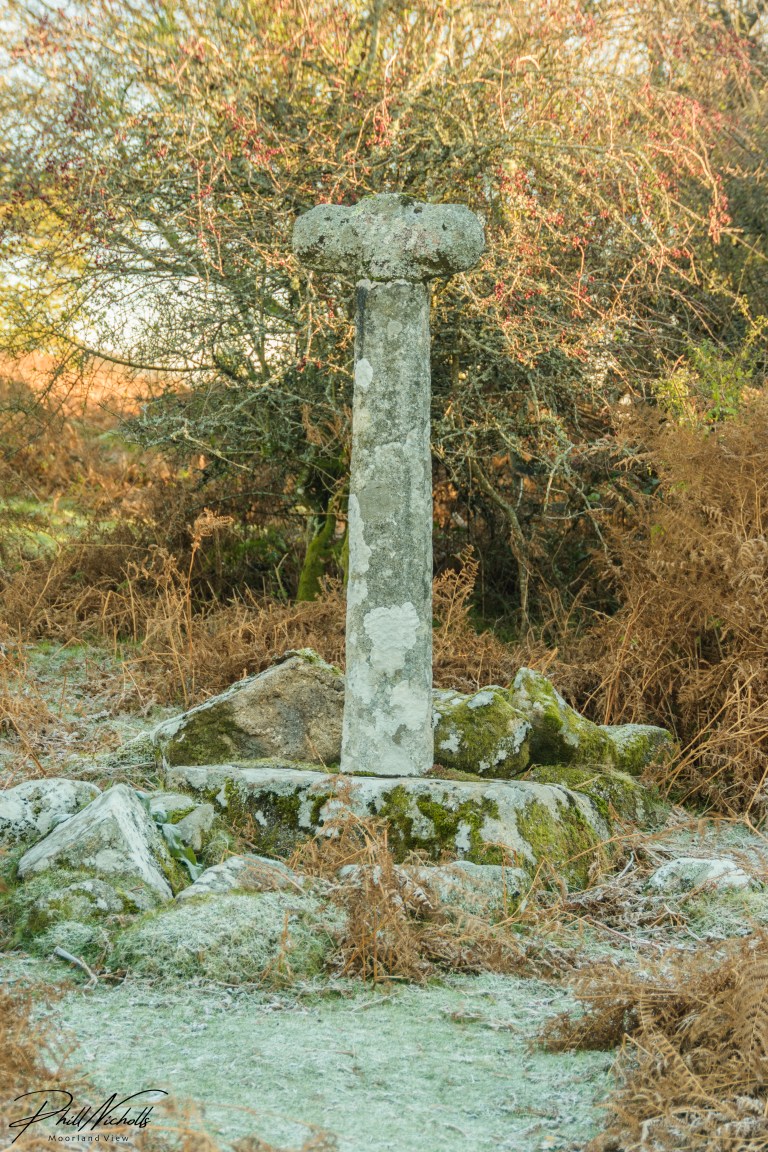 Burrator Cross-2933