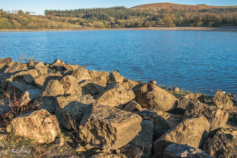 Burrator river -2918