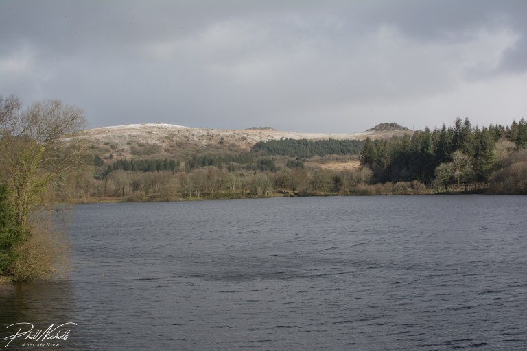 Burrator Water (1 of 1)